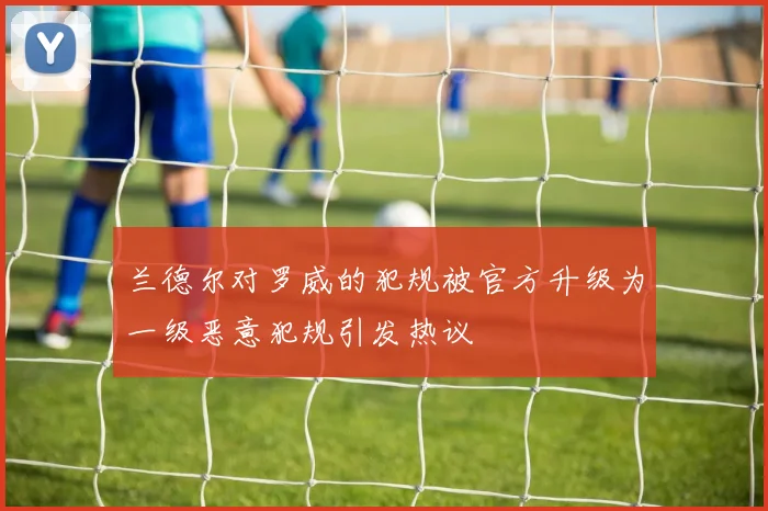 兰德尔对罗威的犯规被官方升级为一级恶意犯规引发热议