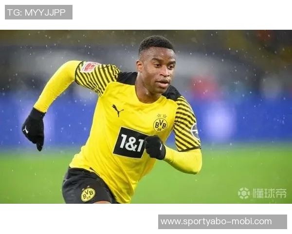 穆科科在丹麦遭遇困境多特名宿呼吁给予更多信任与支持 穆科科在丹麦遭遇困境多特名宿呼吁给予更多信任与支持